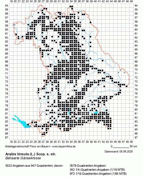 Die Verbreitungskarte zu Arabis hirsuta (L.) Scop. s. str. wird geladen ...