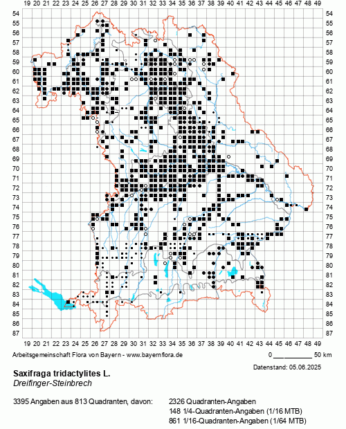 Die Verbreitungskarte zu Saxifraga tridactylites L. wird geladen ...