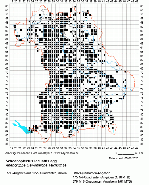Die Verbreitungskarte zu Schoenoplectus lacustris agg. wird geladen ...