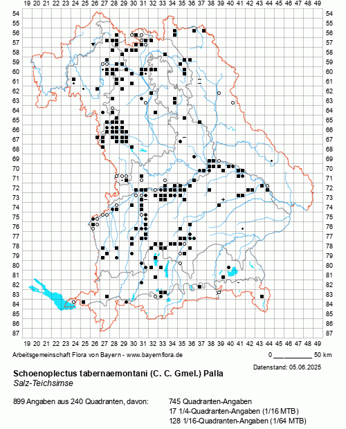 Die Verbreitungskarte zu Schoenoplectus tabernaemontani (C. C. Gmel.) Palla wird geladen ...