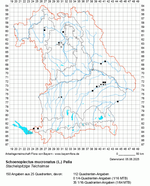 Die Verbreitungskarte zu Schoenoplectus mucronatus (L.) Palla wird geladen ...