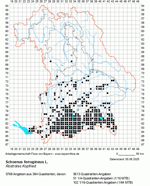 Die Verbreitungskarte zu Schoenus ferrugineus L. wird geladen ...