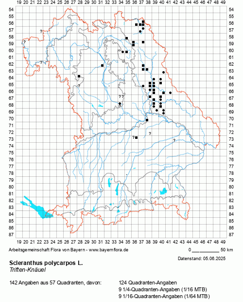 Die Verbreitungskarte zu Scleranthus polycarpos L. wird geladen ...