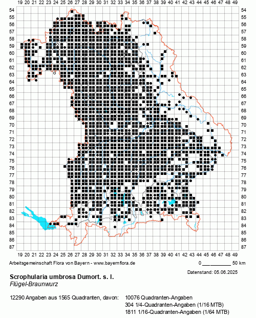 Die Verbreitungskarte zu Scrophularia umbrosa Dumort. s. l. wird geladen ...