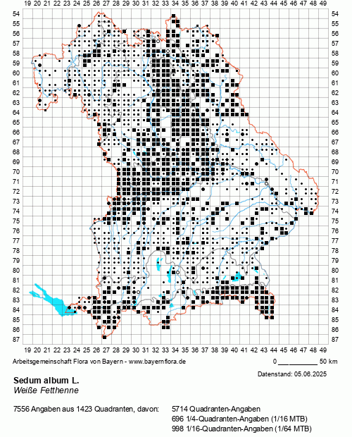 Die Verbreitungskarte zu Sedum album L. wird geladen ...