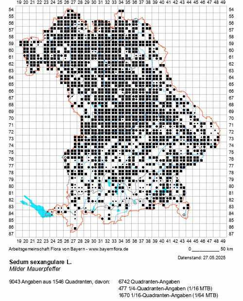 Die Verbreitungskarte zu Sedum sexangulare L. wird geladen ...
