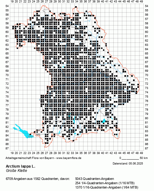 Die Verbreitungskarte zu Arctium lappa L. wird geladen ...