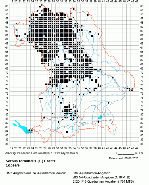 Die Verbreitungskarte zu Sorbus torminalis (L.) Crantz wird geladen ...