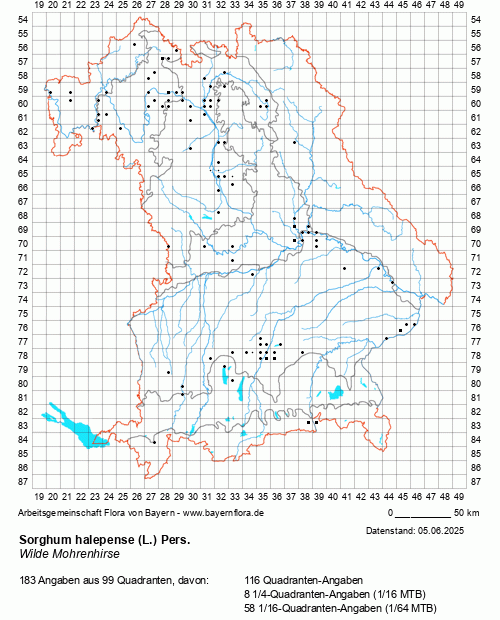 Die Verbreitungskarte zu Sorghum halepense (L.) Pers. wird geladen ...