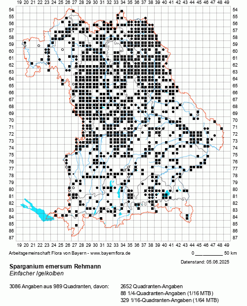 Die Verbreitungskarte zu Sparganium emersum Rehmann wird geladen ...