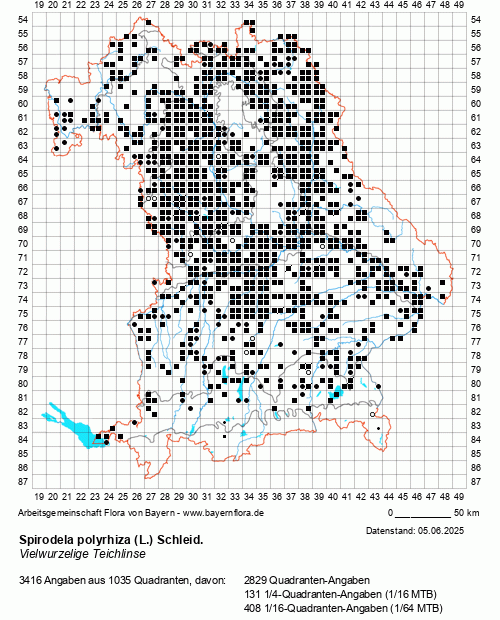 Die Verbreitungskarte zu Spirodela polyrhiza (L.) Schleid. wird geladen ...