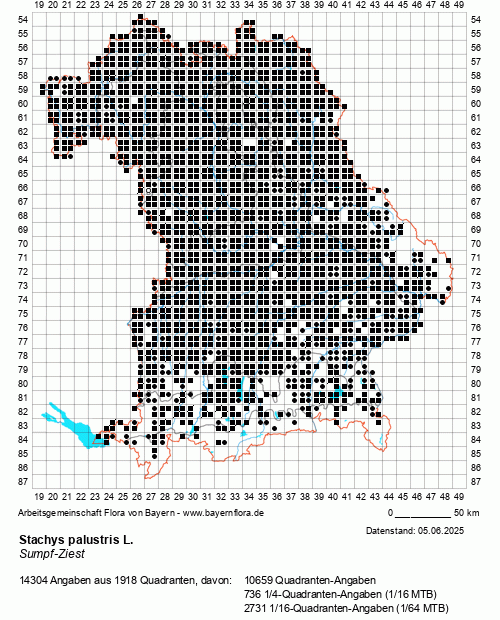 Die Verbreitungskarte zu Stachys palustris L. wird geladen ...