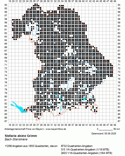 Die Verbreitungskarte zu Stellaria alsine Grimm wird geladen ...