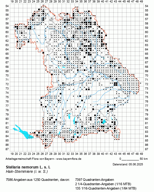 Die Verbreitungskarte zu Stellaria nemorum L. s. l. wird geladen ...