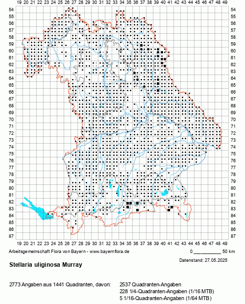 Die Verbreitungskarte zu Stellaria uliginosa Murray wird geladen ...