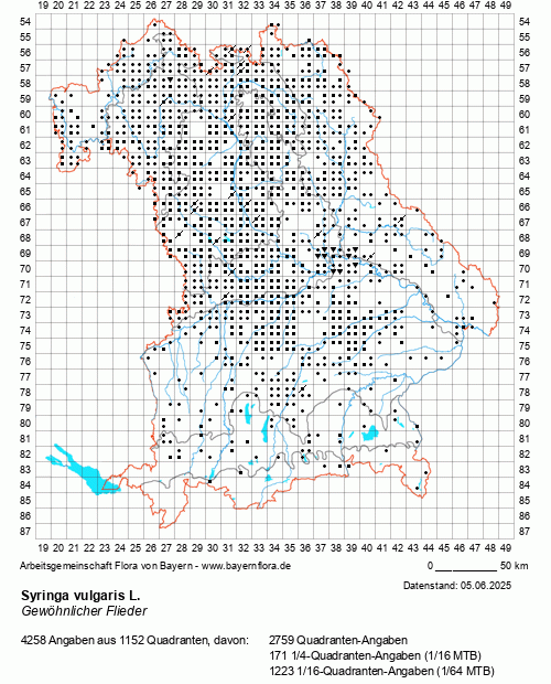 Die Verbreitungskarte zu Syringa vulgaris L. wird geladen ...