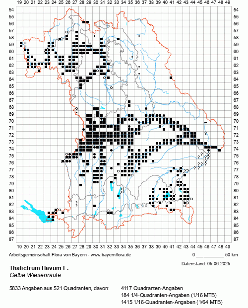 Die Verbreitungskarte zu Thalictrum flavum L. wird geladen ...