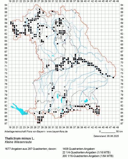 Die Verbreitungskarte zu Thalictrum minus L. wird geladen ...