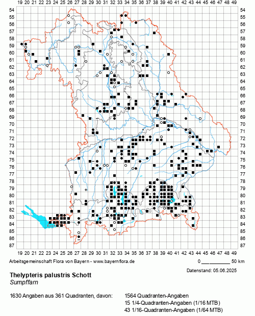 Die Verbreitungskarte zu Thelypteris palustris Schott wird geladen ...