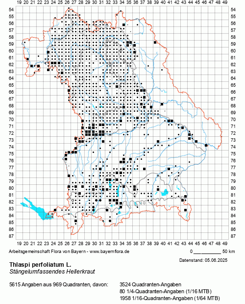 Die Verbreitungskarte zu Thlaspi perfoliatum L. wird geladen ...
