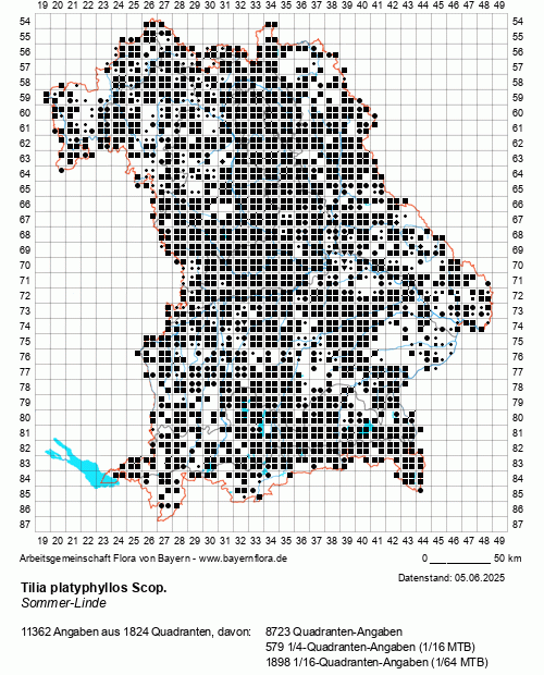 Die Verbreitungskarte zu Tilia platyphyllos Scop. wird geladen ...