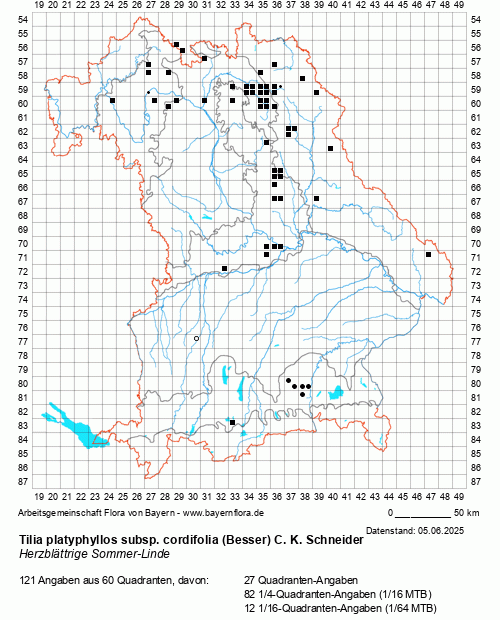 Die Verbreitungskarte zu Tilia platyphyllos subsp. cordifolia (Besser) C. K. Schneider wird geladen ...