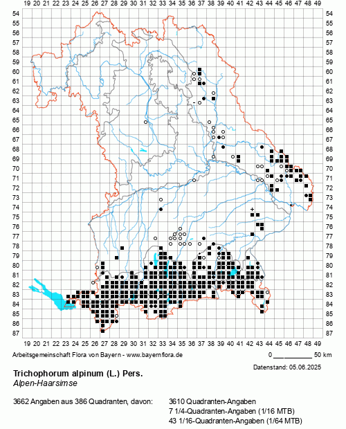 Die Verbreitungskarte zu Trichophorum alpinum (L.) Pers. wird geladen ...