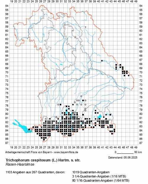 Die Verbreitungskarte zu Trichophorum cespitosum (L.) Hartm. s. str. wird geladen ...