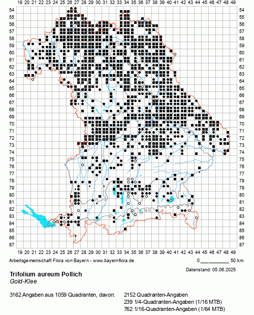 Die Verbreitungskarte zu Trifolium aureum Pollich wird geladen ...