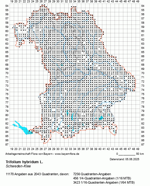 Die Verbreitungskarte zu Trifolium hybridum L. wird geladen ...