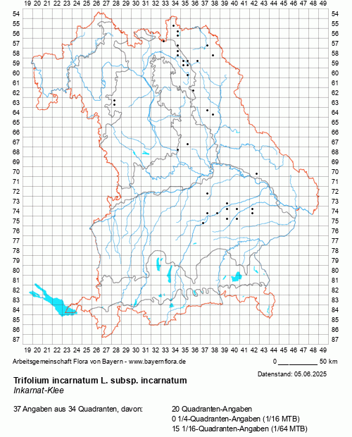 Die Verbreitungskarte zu Trifolium incarnatum L. subsp. incarnatum wird geladen ...