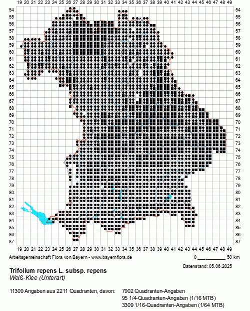 Die Verbreitungskarte zu Trifolium repens L. subsp. repens wird geladen ...