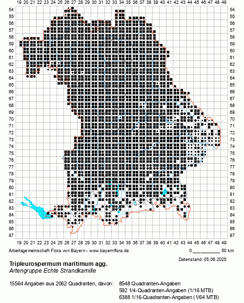 Die Verbreitungskarte zu Tripleurospermum maritimum agg. wird geladen ...