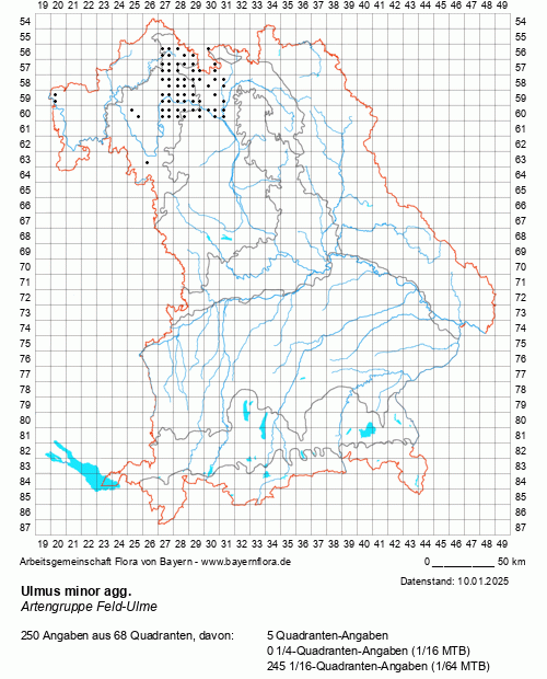 Die Verbreitungskarte zu Ulmus minor agg. wird geladen ...