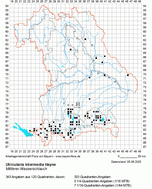Die Verbreitungskarte zu Utricularia intermedia Hayne wird geladen ...