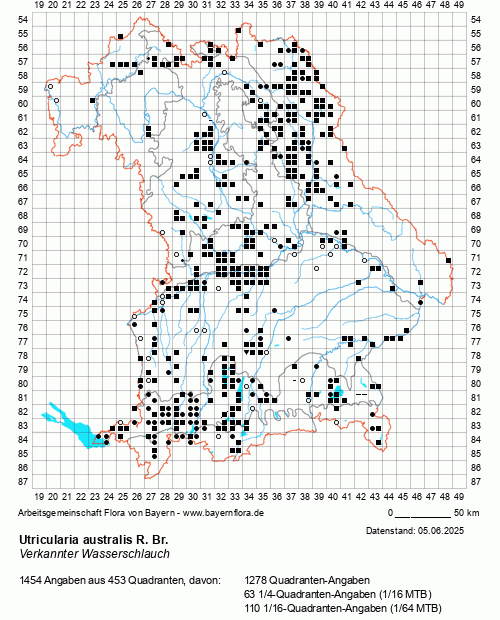 Die Verbreitungskarte zu Utricularia australis R. Br. wird geladen ...