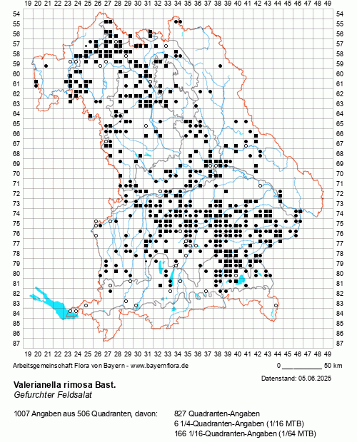 Die Verbreitungskarte zu Valerianella rimosa Bast. wird geladen ...