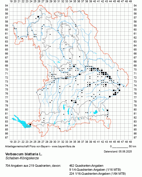 Die Verbreitungskarte zu Verbascum blattaria L. wird geladen ...