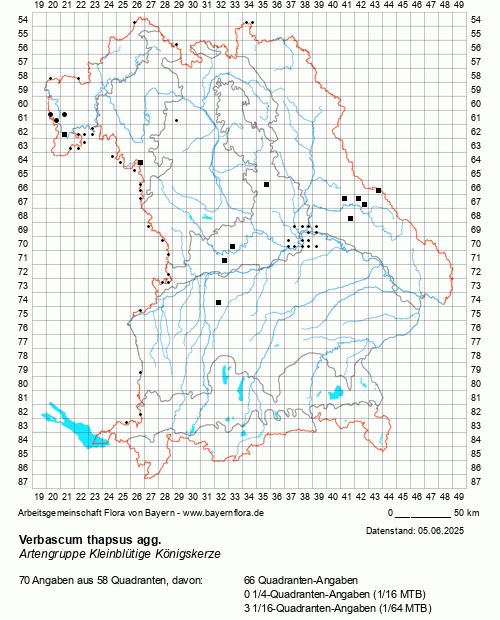 Die Verbreitungskarte zu Verbascum thapsus agg. wird geladen ...