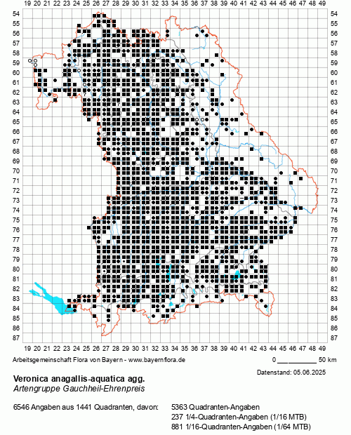 Die Verbreitungskarte zu Veronica anagallis-aquatica agg. wird geladen ...