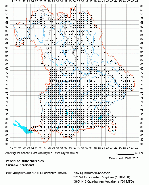 Die Verbreitungskarte zu Veronica filiformis Sm. wird geladen ...