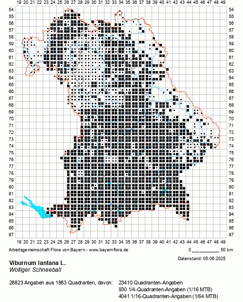 Die Verbreitungskarte zu Viburnum lantana L. wird geladen ...