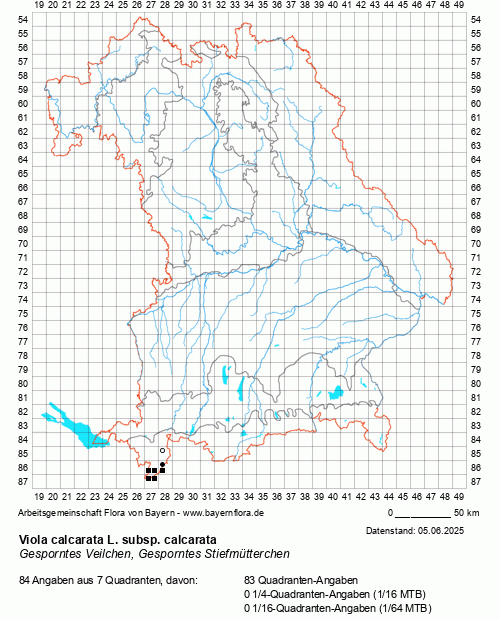 Die Verbreitungskarte zu Viola calcarata L. subsp. calcarata wird geladen ...