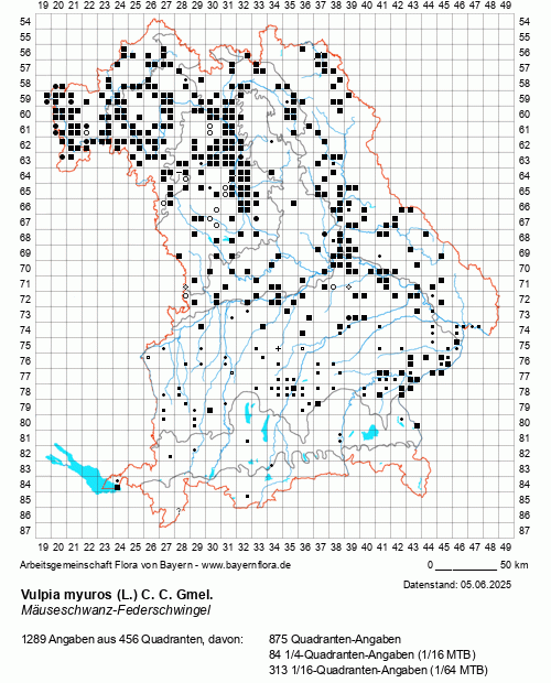 Die Verbreitungskarte zu Vulpia myuros (L.) C. C. Gmel. wird geladen ...