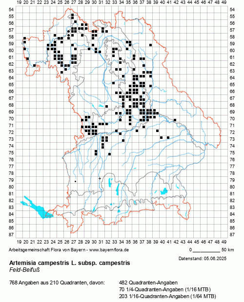 Die Verbreitungskarte zu Artemisia campestris L. subsp. campestris wird geladen ...