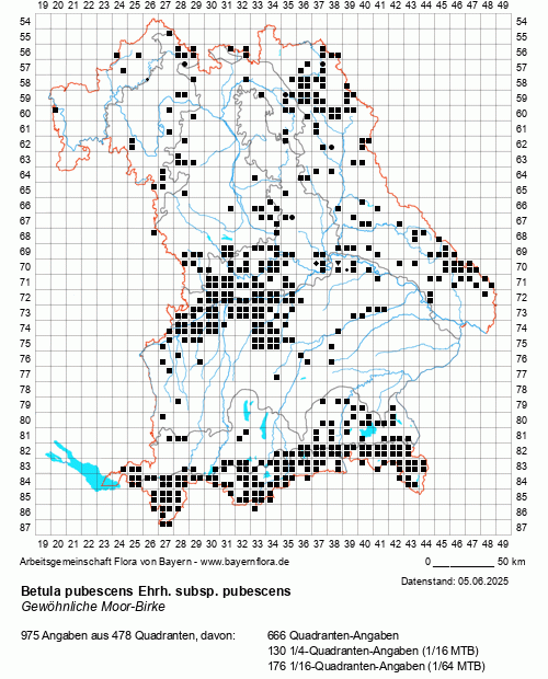 Die Verbreitungskarte zu Betula pubescens Ehrh. subsp. pubescens wird geladen ...