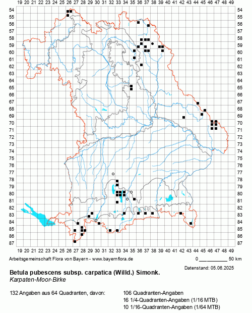 Die Verbreitungskarte zu Betula pubescens subsp. carpatica (Willd.) Simonk. wird geladen ...