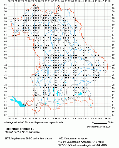 Die Verbreitungskarte zu Helianthus annuus L. wird geladen ...