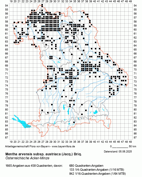 Die Verbreitungskarte zu Mentha arvensis subsp. austriaca (Jacq.) Briq. wird geladen ...