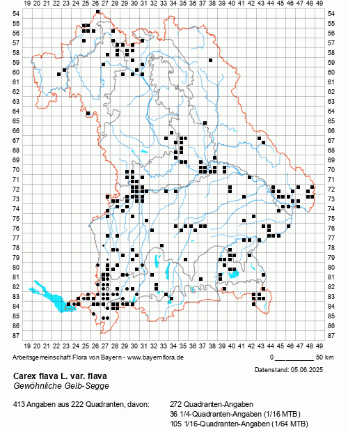 Die Verbreitungskarte zu Carex flava L. var. flava wird geladen ...